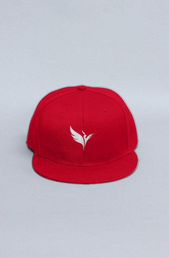 snapback hats